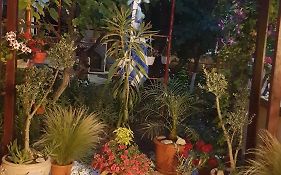 Kallithea